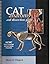 Cat Anatomy and Dissection ...