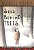 Sees Behind Trees by Michael Dorris (1900-01-01)