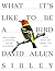 NEW- Be a Bird: From Flying to Nesting, Eating to Singing--What Birds Are Doing, and Why (Sibley Guides)