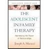 Adolescent in Family Therapy, Second Edition- Harnessing the Power of Relationships (2nd, 09)