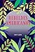 Rebeldes Americanos (Conqui...