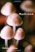 Mushroom by Nicholas P. Money(2012-08-15)