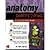 Anatomy Demystified by Layman, Dale [McGraw-Hill Professional, 2004] (Paperback) [Paperback]