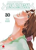 Bleach, vol. 30