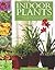 Indoor Plants: The Essential Guide to Choosing and Caring for Houseplants by Jane Courtier (14-Apr-2012) Hardcover