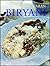Biryani by Pratibha Karan (...