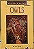 Owls (Explorer Books)