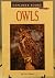 Owls by Eric Weiner