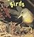 Birds by Rod Theodorou