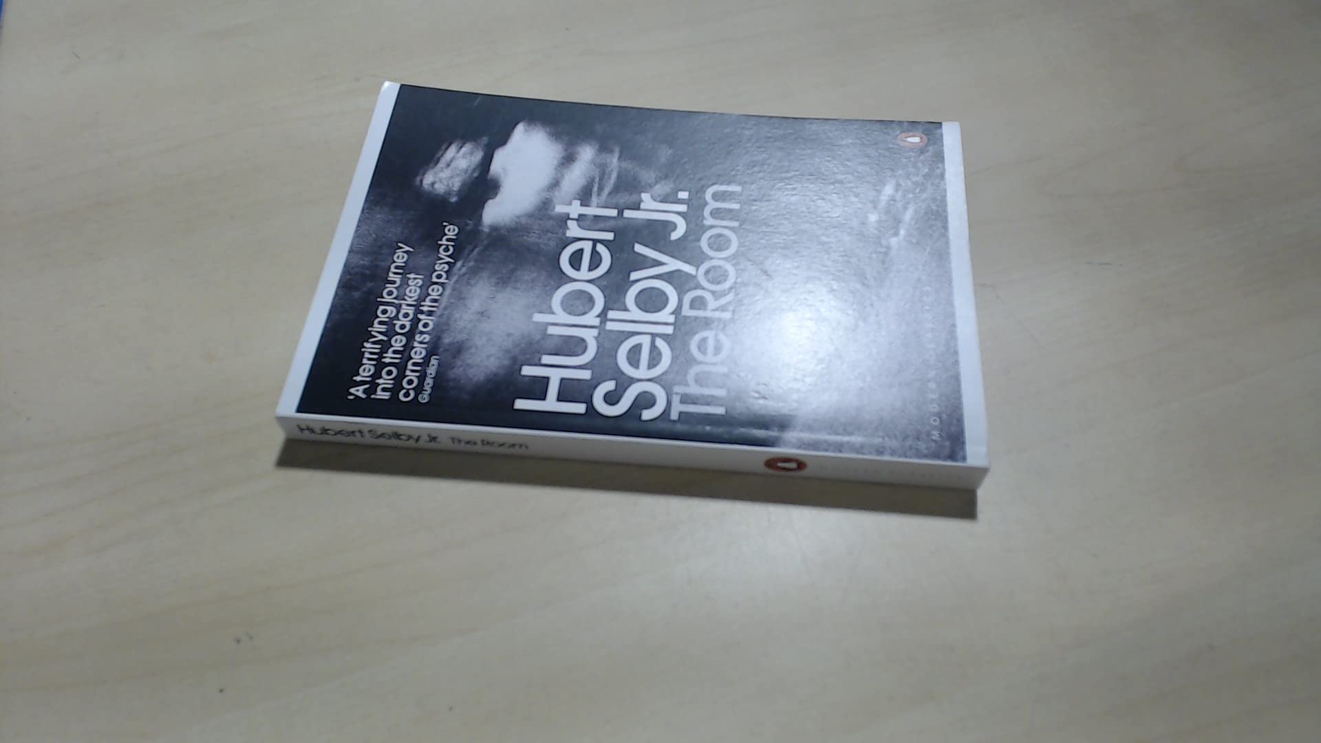 TheDemon by Selby, Hubert ( Author ) ON Aug-25-2011, Paperback