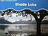 Shade Lake [BuildUp Phonics Grade 1 Decodable Reader, Social Studies, Technology at Work 13a]