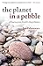 The Planet in a Pebble: A journey into Earth's deep history 1st edition by Zalasiewicz, Jan (2012) Paperback