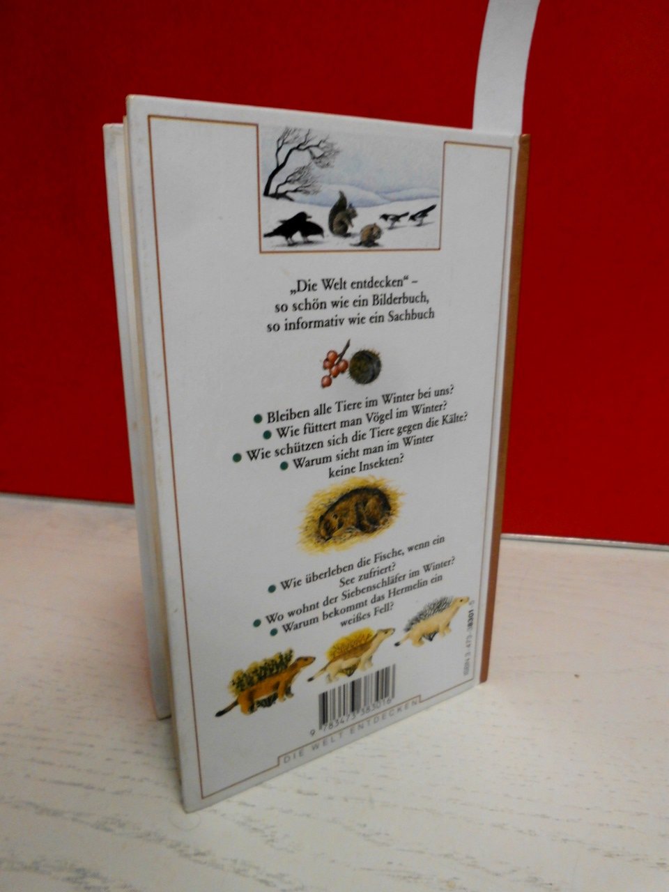 Wie Leben Die Tiere Im Winter (Hardcover)