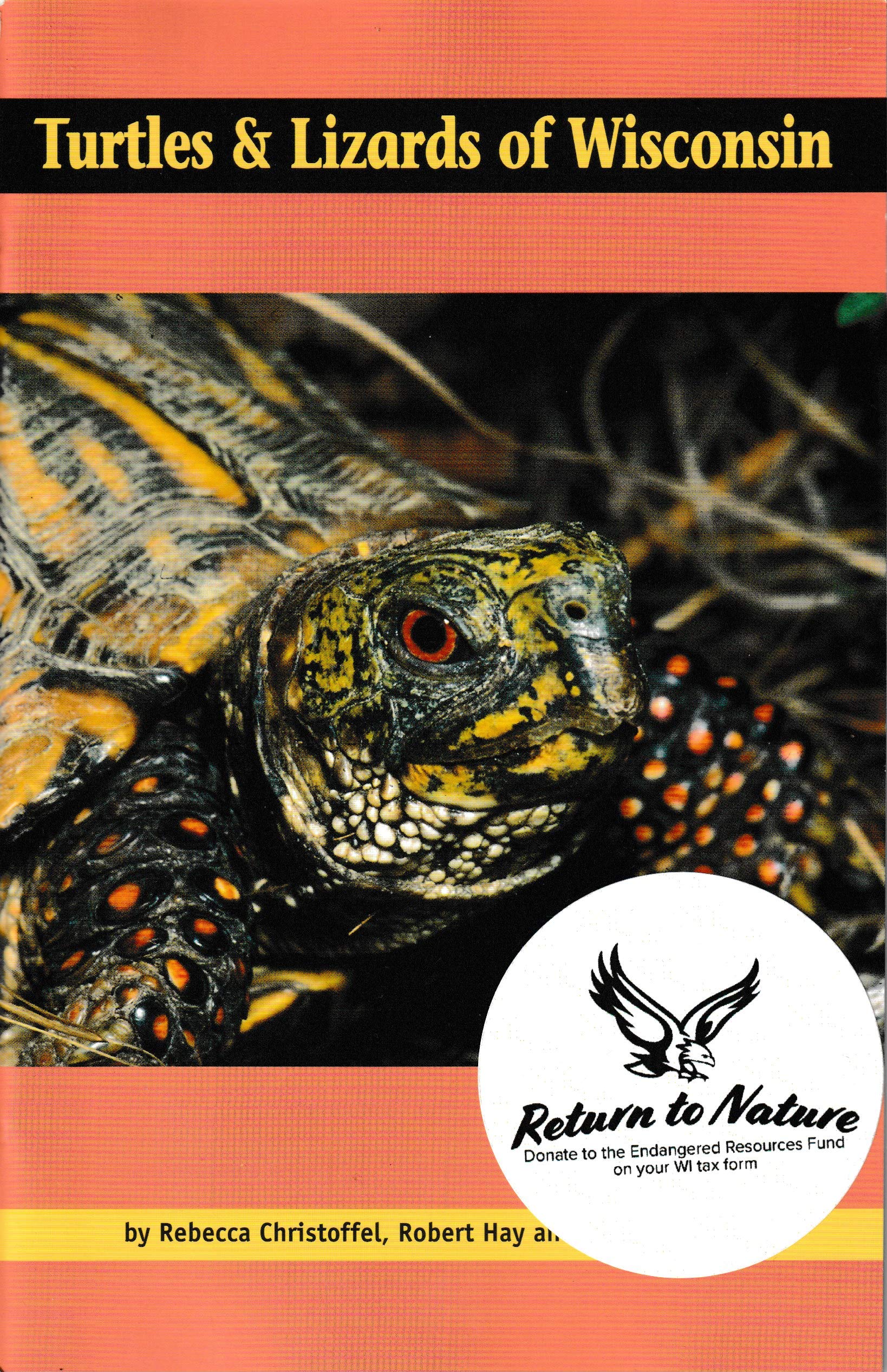 Turtles & Lizards of Wisconsin (Paperback)