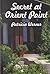 Secret at Orient Point (Five Star Standard Print Romance) by Patricia Werner (1999-05-03)