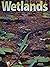 Wetlands