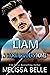 Liam (Storm Brothers Book 4)