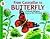 From Caterpillar to Butterfly (Let's-Read-and-Find-Out Science 1)