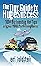 The Tiny Guide To Huge Success by Jeri Goldstein