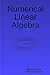 By W. J. Layton Numerical Linear Algebra [Paperback]