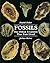 Fossils: The Oldest Treasur...