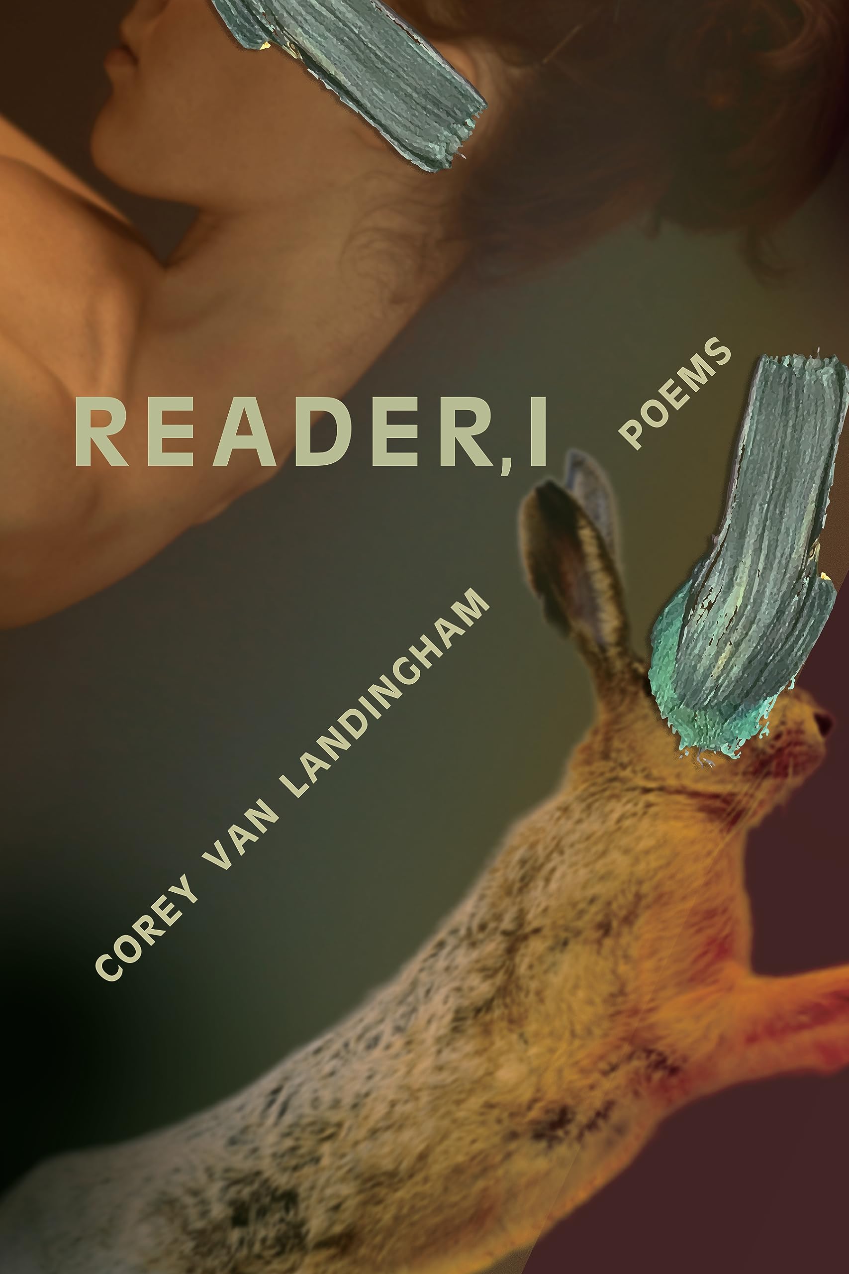 Reader, I (Paperback)