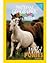 National Geographic Science 4 (Life Science: Explore On Your Own Pioneer): Wild Ponies, 8-pack