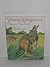 Young Kangaroo by Margaret Wise Brown (1993-09-01)