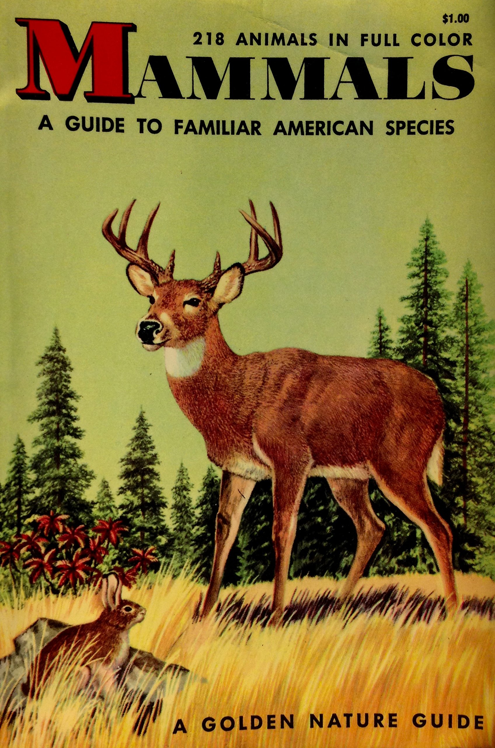 Mammals;: Guide to familiar American species; 218 animals in full color (A Golden nature guide)