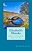 Elizabeth's Mistake: Darcy and Elizabeth What If? #1 (Volume 1) by Jennifer Lang (2014-06-24)