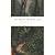 The Malay Archipelago by Wallace, Alfred Russell, Whitten Ph.D, Tony [Periplus Editions (HK) ltd., 2008] (Paperback) [Paperback]