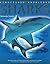 Kingfisher Knowledge: Sharks by Miranda Smith (2008-06-10)
