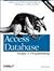 Access Database Design & Programming 3th (third) edition