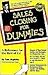 Sales Closing for Dummies 1st (first) editon Text Only