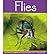 Flies