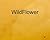 WildFlower
