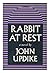 Rabbit at rest / John Updike