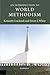 An Introduction to World Methodism (Introduction to Religion) by Kenneth Cracknell (2005-06-20)