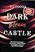 Dark gleam Castle by D.C. Odesza