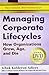 Managing Corporate Life Cycle (English and Hindi Edition) by Ichak Adizes (2014-12-01)
