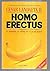 HOMO ERECTUS