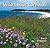 Wild About Cornwall by Chapman, David (2007) Paperback