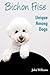 Bichon Frise: Unique Among ...