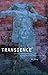 Transience: Chinese Experimental Art at the End of the Twentieth Century by Wu Hung (2006-04-11)
