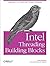 Intel Threading Building Blocks: Outfitting C++ for Multi-Core Processor Parallelism 1st (first) Edition by Reinders, James published by O'Reilly Media (2007)