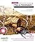 Foundation Flex for Developers: Data-Driven Applications with PHP, ASP.NET, ColdFusion, and LCDS by Sas Jacobs (2007-12-16)