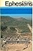 Comt-New Test-Ephesians: (New Testament Commentaries) by Geoffrey B. Wilson (1988-11-03)