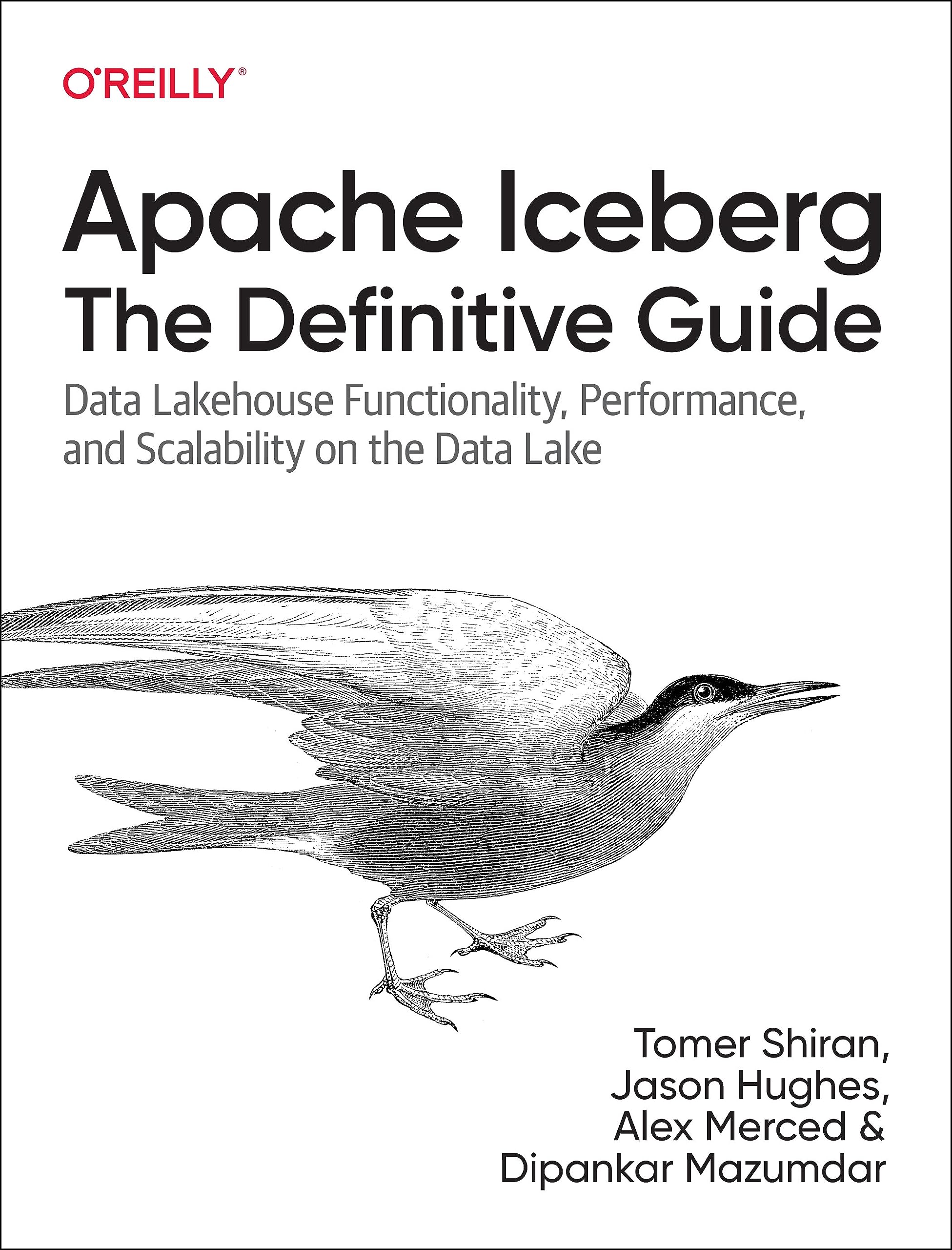 Apache Iceberg: The Definitive Guide: Data Lakehouse Functionality, Performance, and Scalability on the Data Lake (Paperback)