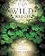 Craft of the Wild Witch: Green Spirituality & Natural Enchantment by Poppy Palin (2004-10-08)