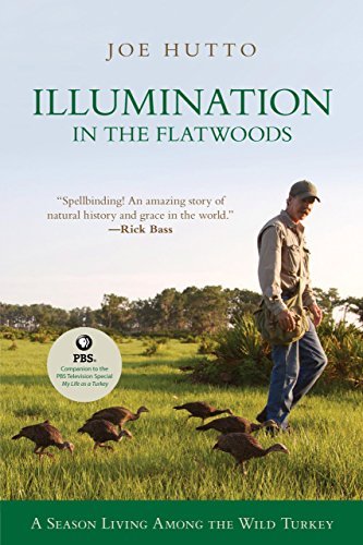 Illumination in the Flatwoods: A Season With The Wild Turkey by Joe Hutto (2006-10-31)